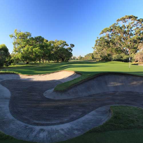 woodlands