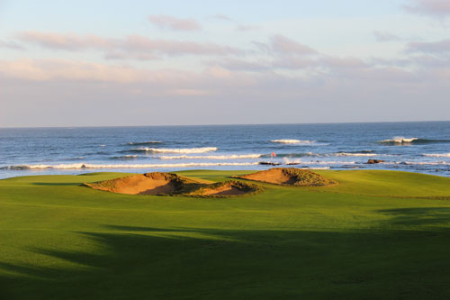 ocean dunes