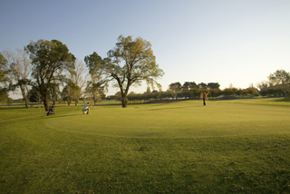 Albert Park Golf Course