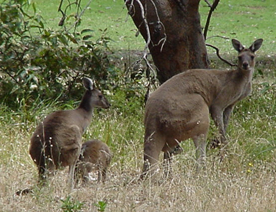 south west 6